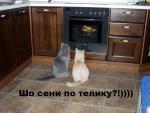 шо сени по телику