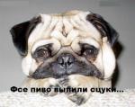 фсе пиво выпили