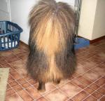 unknown monster