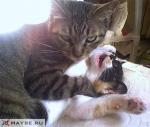 battle for life and death
