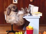 work at the computer