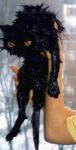 cat after shower