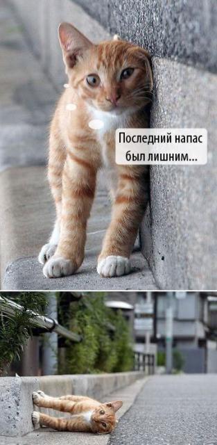 последний напас был лишним
