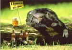 BEER.JPG