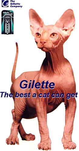 gilette- лучше для котенка нет