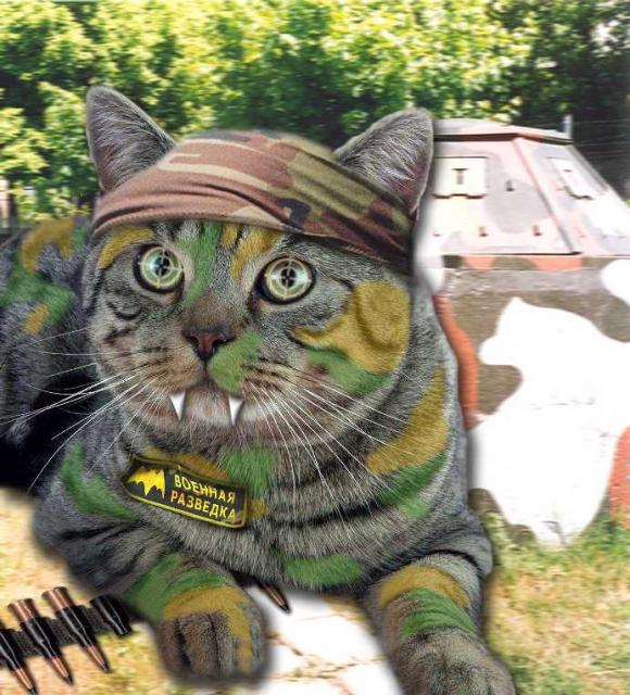 военная разведка