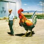 cock on a leash