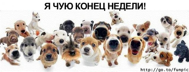 я чую конец недели