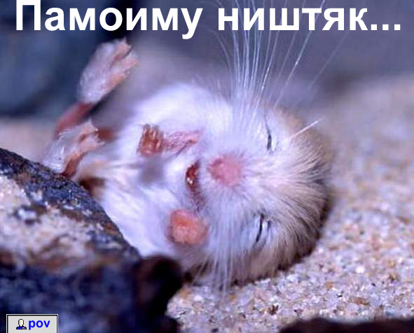 памоиму ништяк