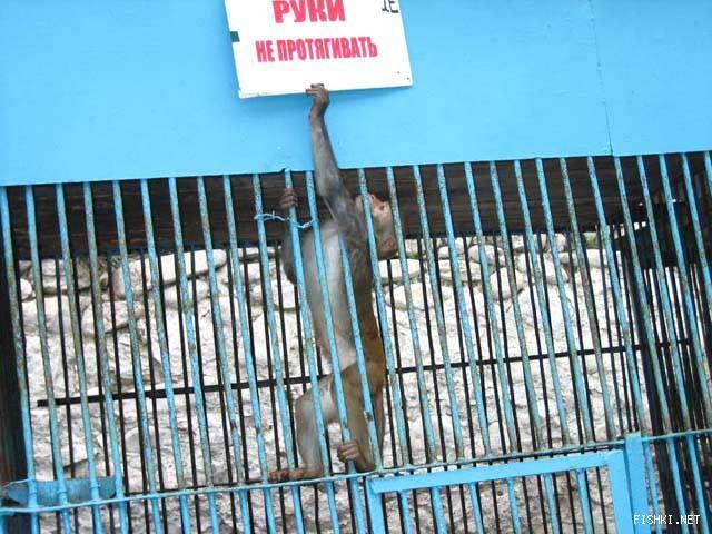 руки не протягивать