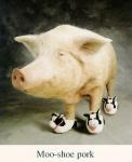 Swine.jpeg