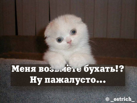 меня возьмете бухать, ну пожалусто...