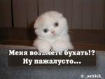 меня возьмете бухать, ну пожалусто...
