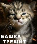 башка трещит