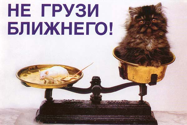Vetal us _189_.JPG