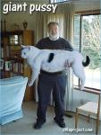 фотография кота гиганта на руках у хозяина
