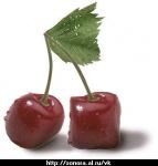 cool picture of a square sweet cherry