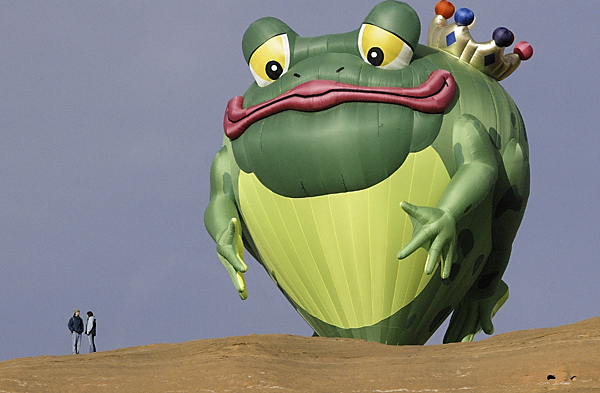 0303_frog.jpg