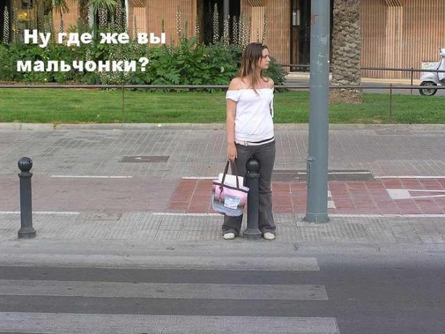 3150330.jpg