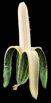 banan.jpg