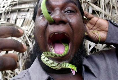capt_mas10109021528_india_guinness_record_snake_mas101.jpg