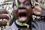 capt_mas10109021528_india_guinness_record_snake_mas101.jpg