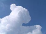 pics010.jpg