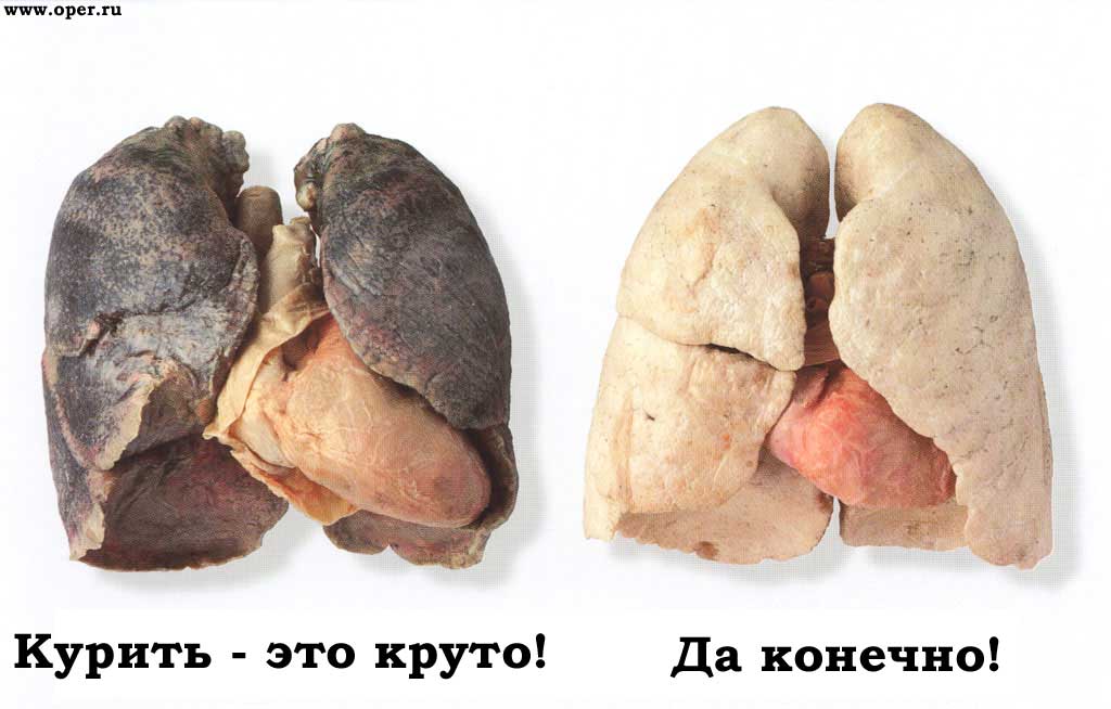 ______ - ___ ______.jpg