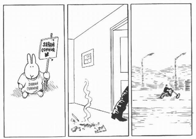 2_19.jpg