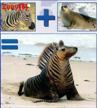 2809zoo1.jpg