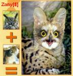 2809zoo10.jpg