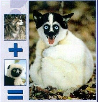 2809zoo3.jpg