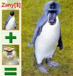 2809zoo4.jpg