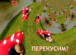 perekusim_1_.jpg