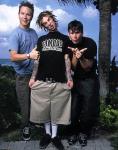 Blink15.jpg