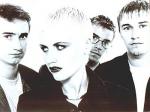 Cranberries07.jpg