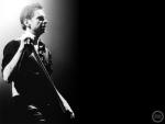 Concert Photos Dave Gahan