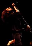 photo by Dave Gahan concert tour with Songs of Faith And Devotion