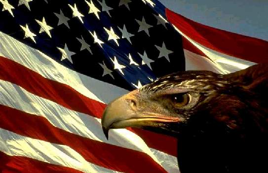 Young Eagle with American Flag.jpg