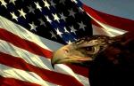 Young Eagle with American Flag.jpg
