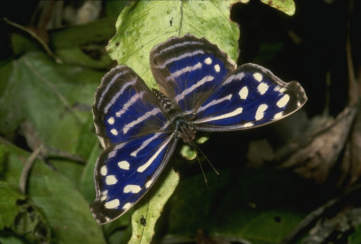 052037B.JPG