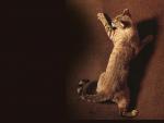 Photo of cat jumping on a sofa