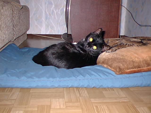 OLEG3.JPG