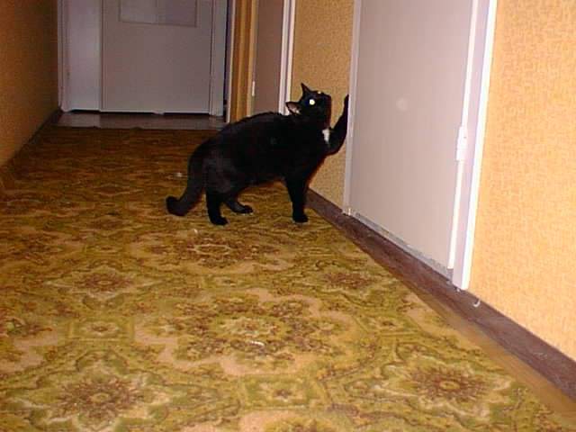 OLEG4.JPG