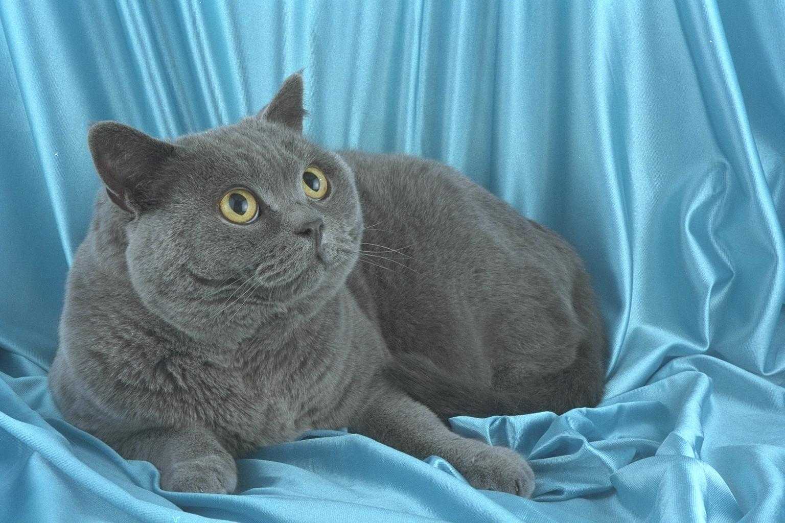 00000023.JPG