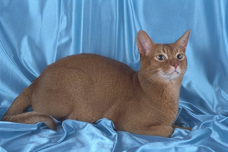 458001.JPG