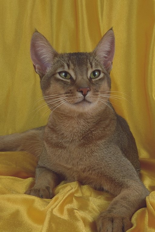 458003.JPG