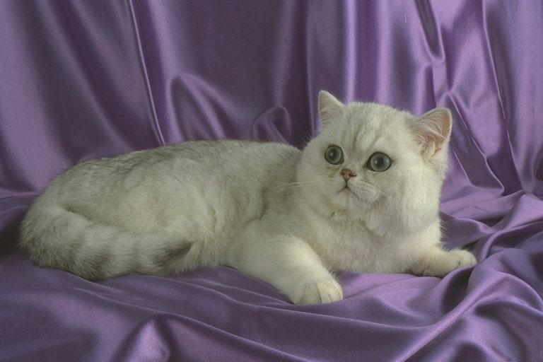 458038.JPG