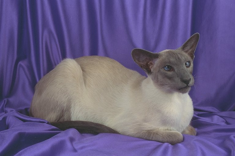 458080.JPG