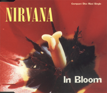 1991 - in bloom.jpg